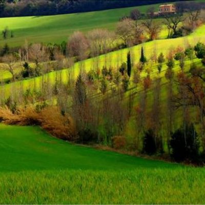 Green hills Macerata - Marche - Italy