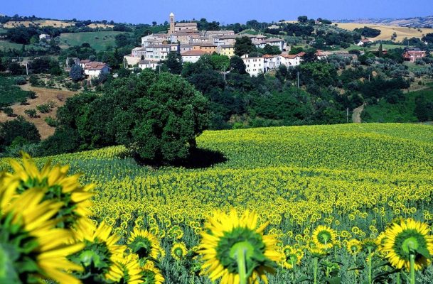 Serrungarina - Marche - Italy