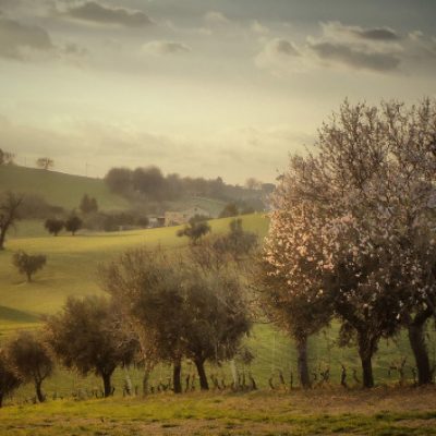 Spring smell Macerata - Marche - Italy